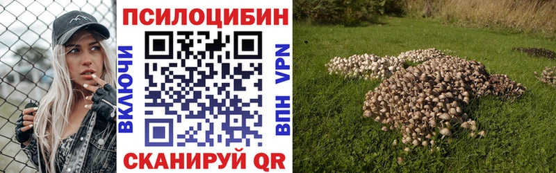 Галлюциногенные грибы Psilocybine cubensis где купить Сосногорск